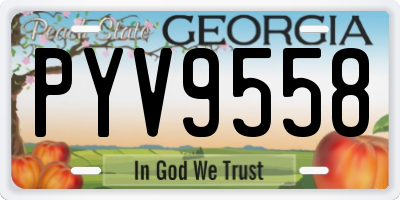 GA license plate PYV9558