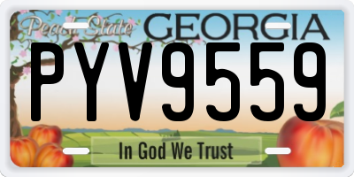 GA license plate PYV9559