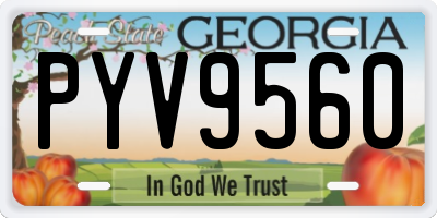 GA license plate PYV9560