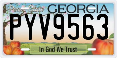 GA license plate PYV9563