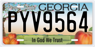 GA license plate PYV9564