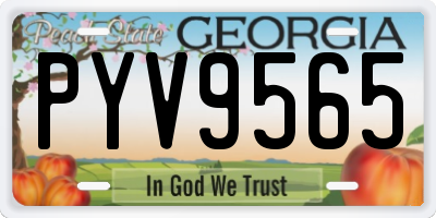 GA license plate PYV9565