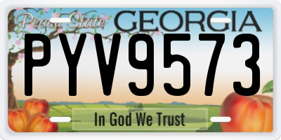 GA license plate PYV9573