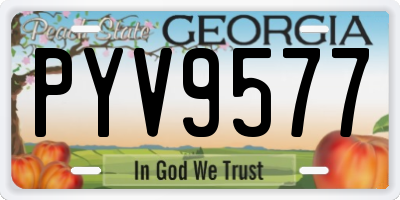 GA license plate PYV9577