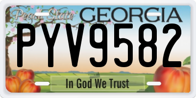 GA license plate PYV9582