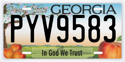 GA license plate PYV9583