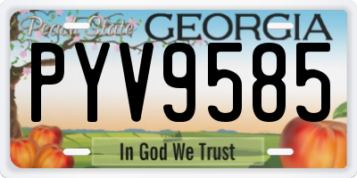 GA license plate PYV9585