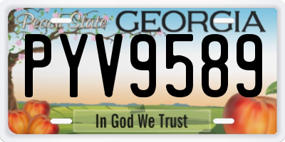 GA license plate PYV9589