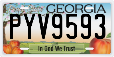 GA license plate PYV9593