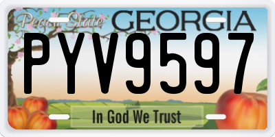 GA license plate PYV9597