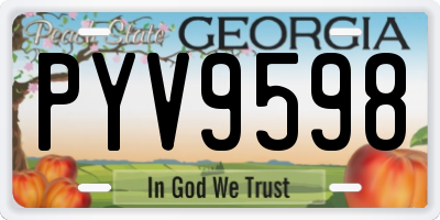 GA license plate PYV9598