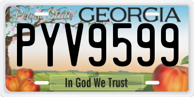 GA license plate PYV9599