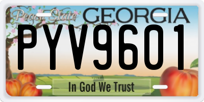 GA license plate PYV9601