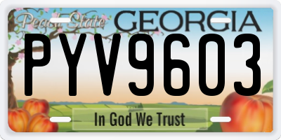 GA license plate PYV9603
