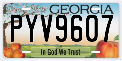 GA license plate PYV9607