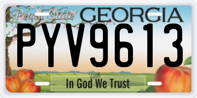 GA license plate PYV9613