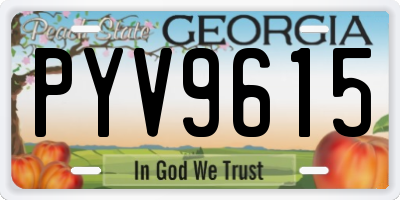 GA license plate PYV9615