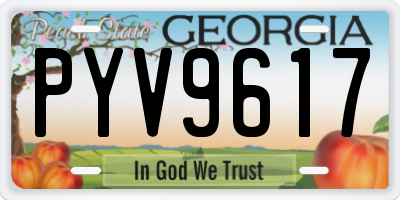 GA license plate PYV9617