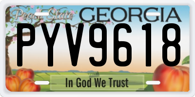GA license plate PYV9618