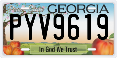 GA license plate PYV9619
