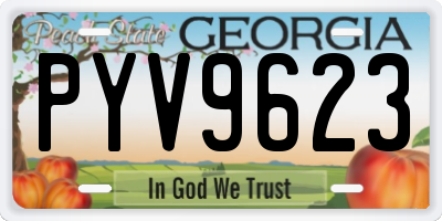 GA license plate PYV9623