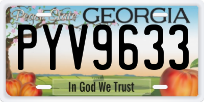 GA license plate PYV9633