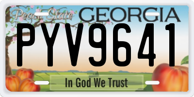 GA license plate PYV9641