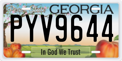 GA license plate PYV9644