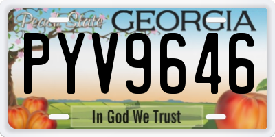 GA license plate PYV9646