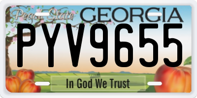 GA license plate PYV9655