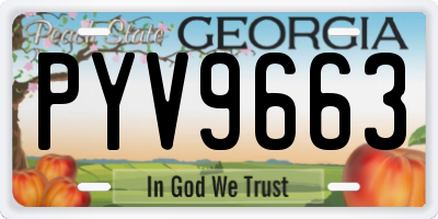 GA license plate PYV9663