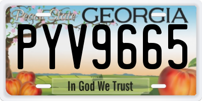 GA license plate PYV9665