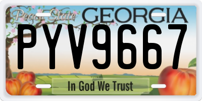 GA license plate PYV9667