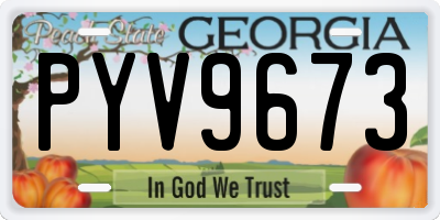 GA license plate PYV9673