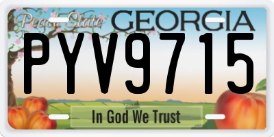 GA license plate PYV9715
