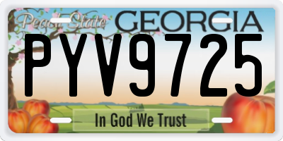 GA license plate PYV9725