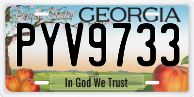 GA license plate PYV9733