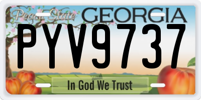 GA license plate PYV9737