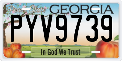 GA license plate PYV9739