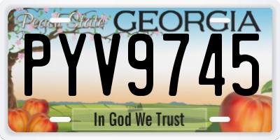 GA license plate PYV9745