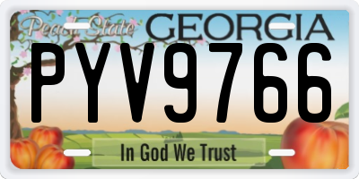 GA license plate PYV9766