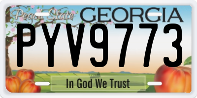 GA license plate PYV9773