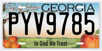 GA license plate PYV9785