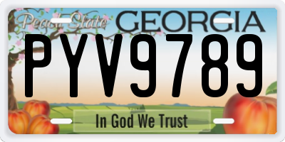 GA license plate PYV9789