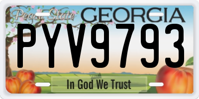 GA license plate PYV9793