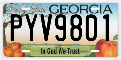 GA license plate PYV9801