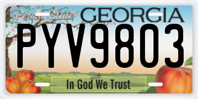 GA license plate PYV9803