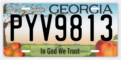 GA license plate PYV9813