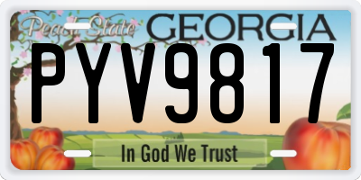 GA license plate PYV9817