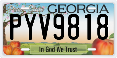 GA license plate PYV9818